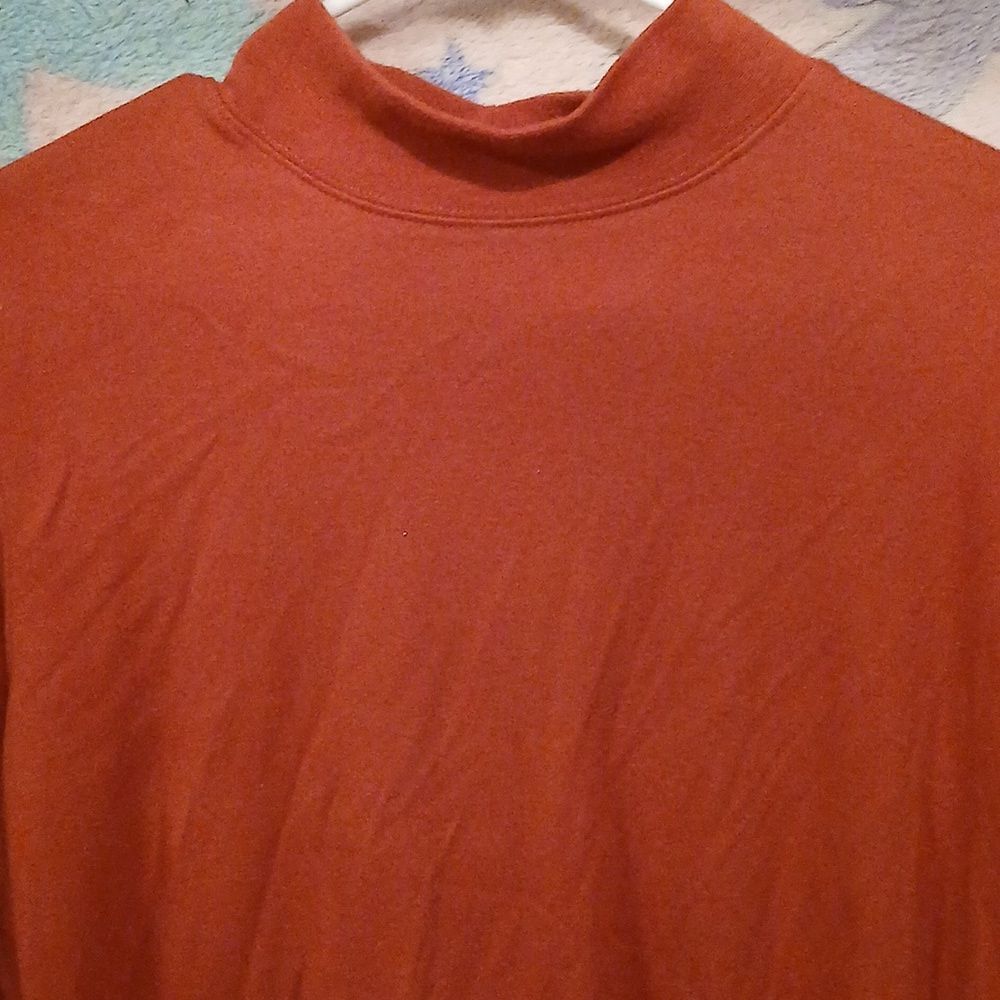 Hasting & Smith Women Mock Turtleneck Size 2X - Picture 2 of 5